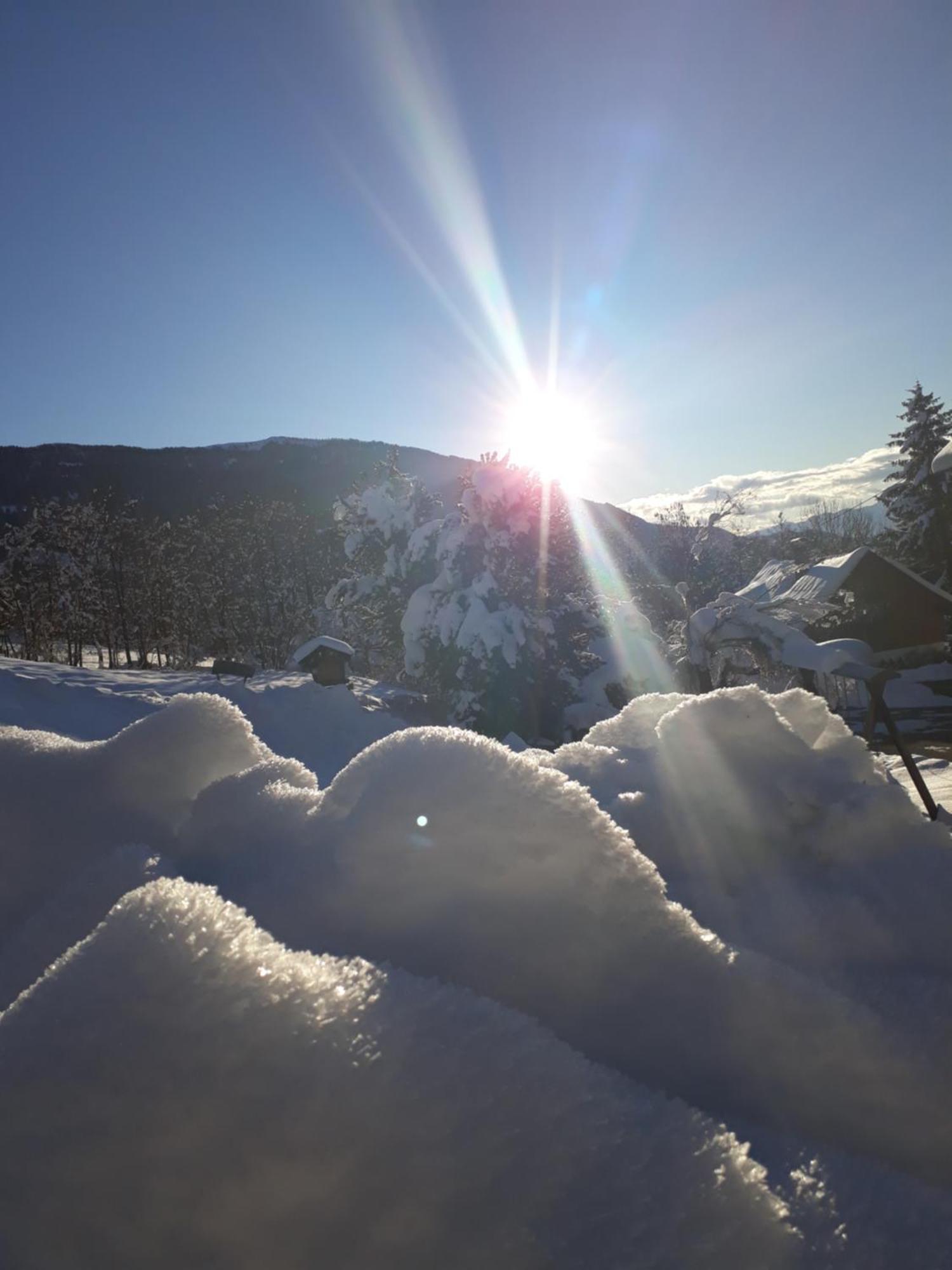 Pension Bauernhof Baumgartner Stanahof Fresach ภายนอก รูปภาพ